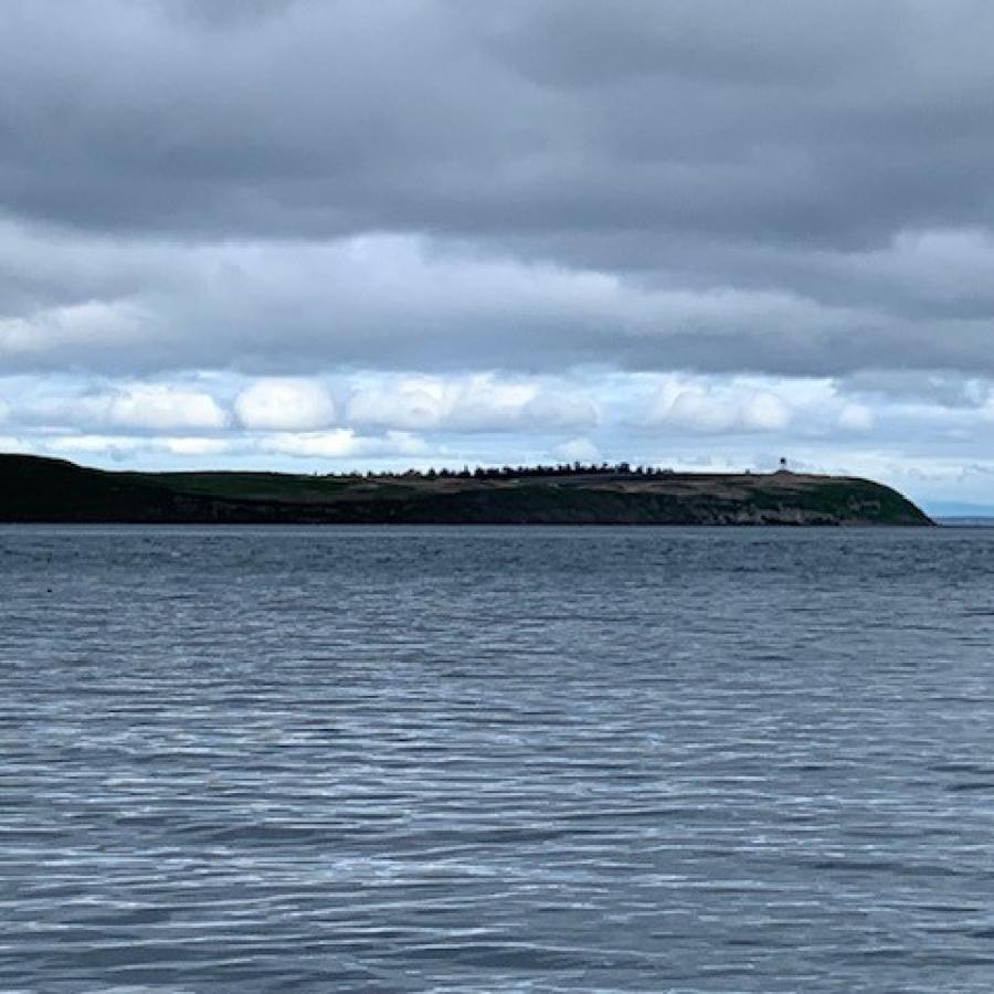 Protection Island, covered with mostly grass and some minimal trees, sits across the water with grey clouds in the background.