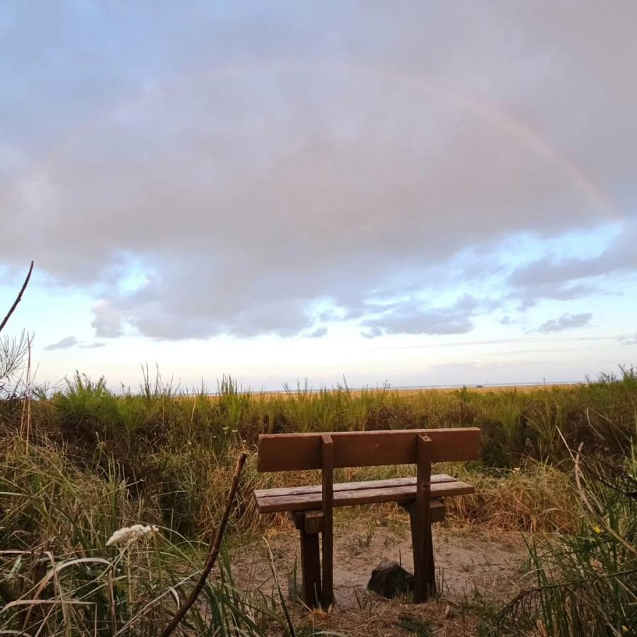 A bench sits on a walking trail facing the ocean with a rainbow and clouds in the sky. The bench is surrounded by beach grass, sand and a few shrubs.  