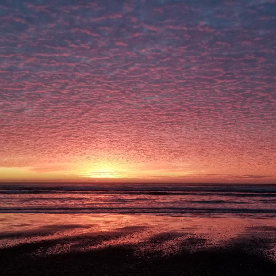 A pink sunset glows along the horizon, casting a soft light reflecting across the wet sand of the beach.