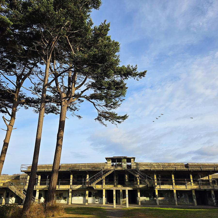 A historic military battery on a sunny day with wind-swept Douglas fir trees in the foreground