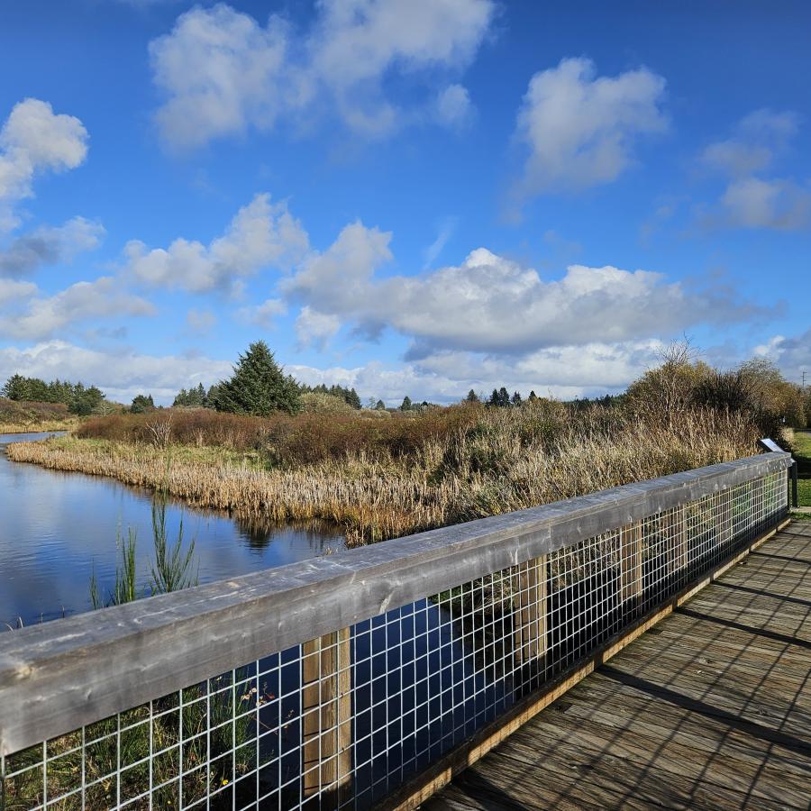 A wooden boardwalk stretches over calm water beneath a bright blue sky with scattered clouds, inviting visitors to enjoy the peaceful coastal beauty of Bottle Beach.