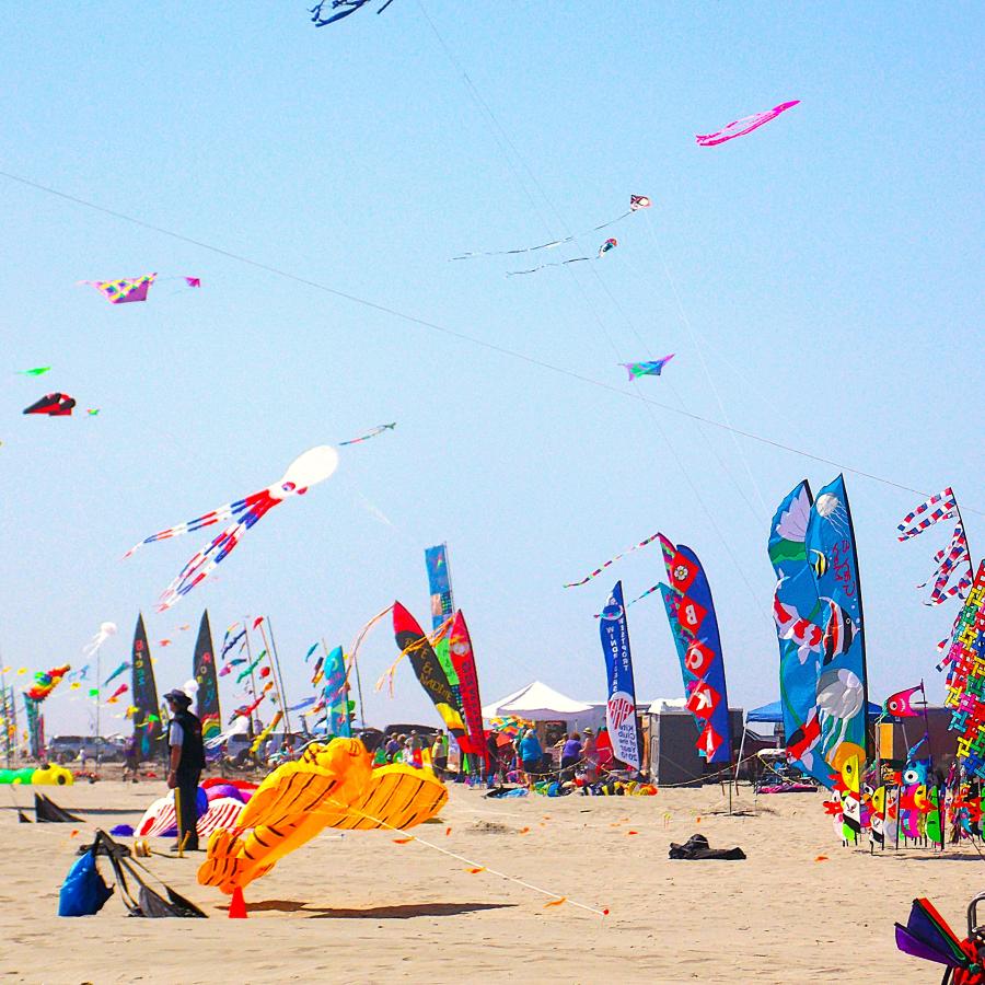  Brightly colored kites in fun shapes fly high in the clear blue sky as visitors stand on the sandy beach, enjoying the view with toes in the sand.
