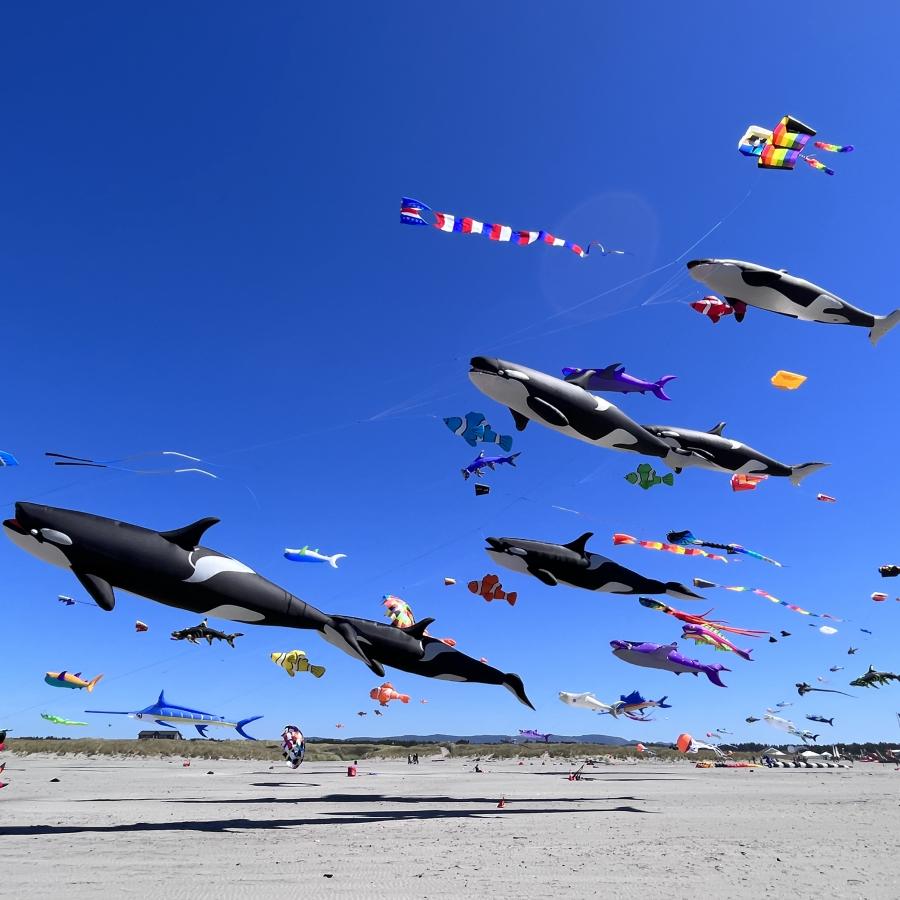 Giant whale and fish-shaped kites soar gracefully against a clear blue sky above the sandy beach, as families and visitors celebrate the vibrant coastal Kite Festival