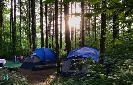 Two Tents pitched under sunny skies and shaded by large tall trees