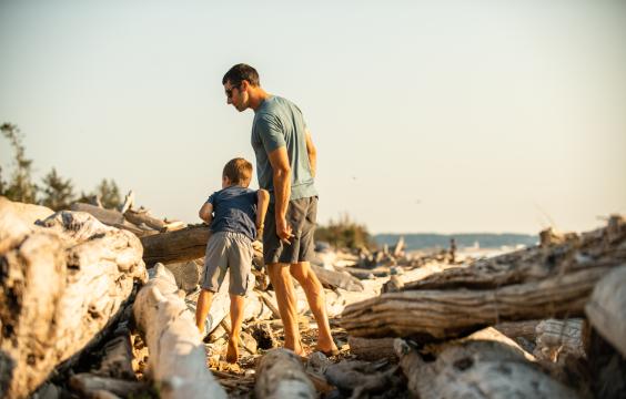 Man and child looking for something on the beach.