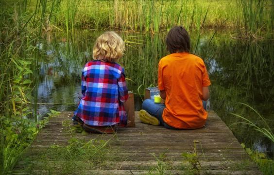 Kids sitting on dock near lake with grass.