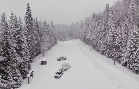 A parking area next to a forest road both covered by a thick layer snow flanked by snow-covered pine trees. A pit toilet hut sits on the left side.