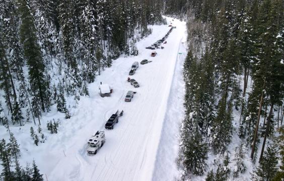 Trucks prarallel-parked along the side of a forest road covered by thick snow and flanked by snow-dusted pine tree forest. A toilet pit hut lies on the edge of the tree line.