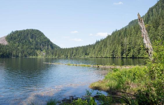 Lake with forested hills