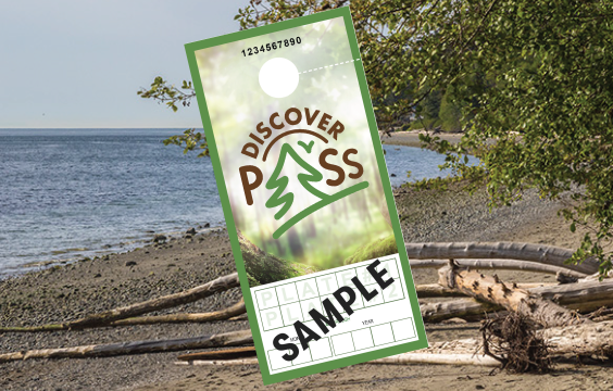 Discover Pass Sample