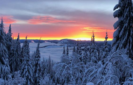 A colorful sunset over snowy mountains with fog covering the valley below.