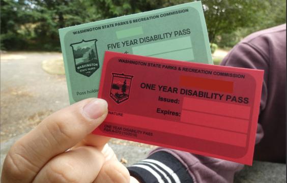 Hand holding a 1 year disability pass in red and a 5 year disability pass in teal.