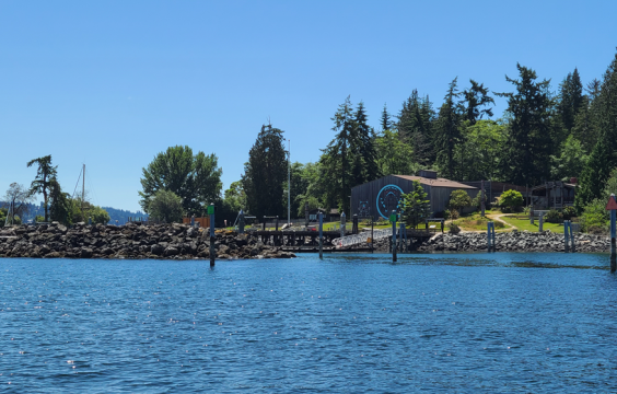 Looking over calm water towards the marina with large building with indigenous art design and tall trees