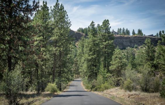 Asphalt trail going into the distance surrounded by tall green trees overlooked by a house on top of a ridge 