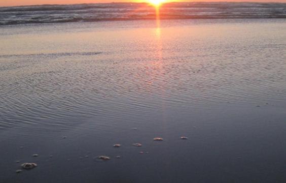 Sunset in the distance with light reflecting on water and wet sand in the foreground