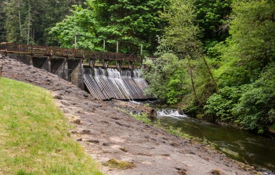 A trail leads to a boardwalk across a small dam
