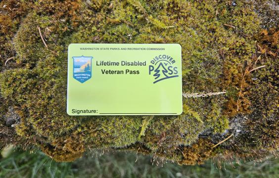 Lifetime Disabled Veteran Pass which is bright green with state parks and Discover Pass logo. 